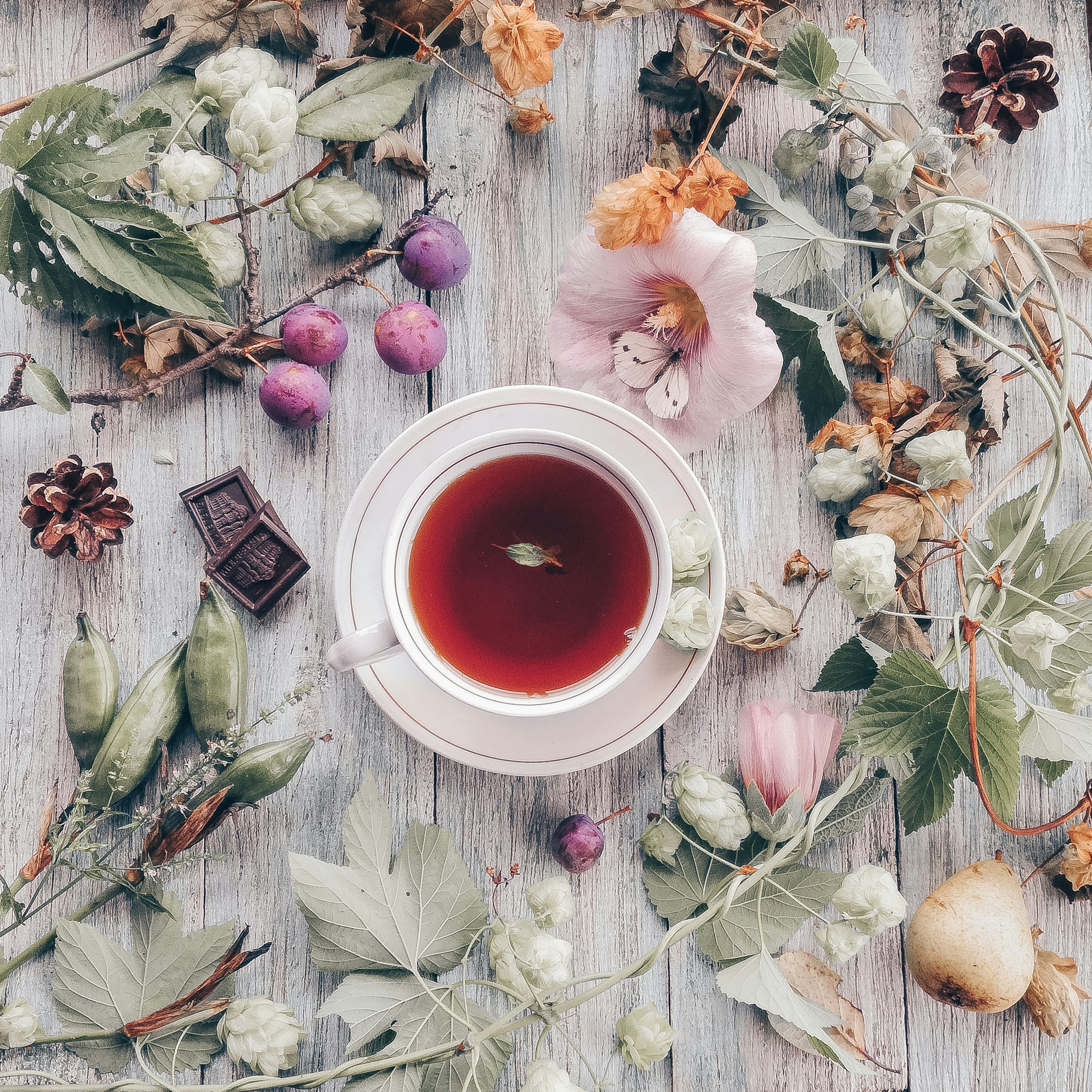 Chamomile Dream – Herbal Blend